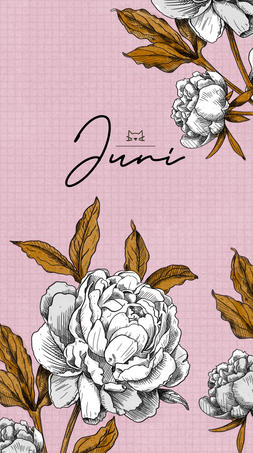Juni-Motiv Handywallpaper mit Pfingstrosen auf Rosa