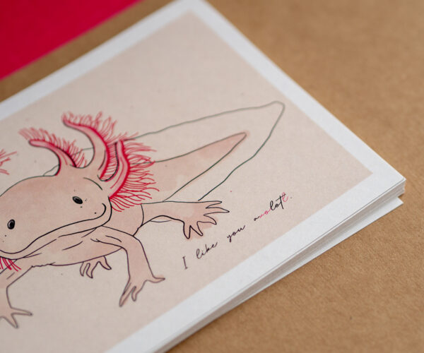 Detailansicht zur Axolotl-Postkarte