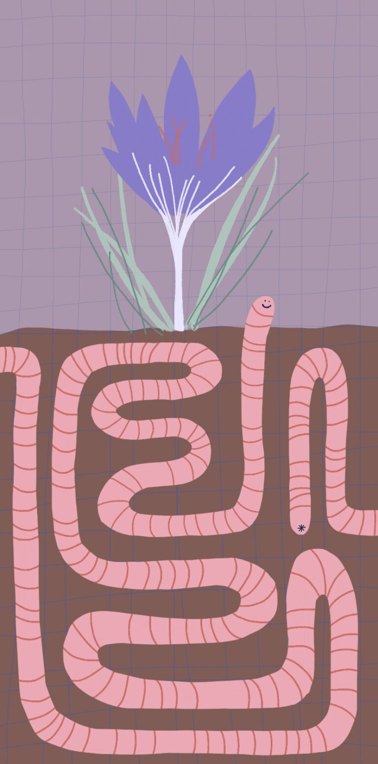 Wallpaper für's Smartphone mit Regenwurm und Krokus.